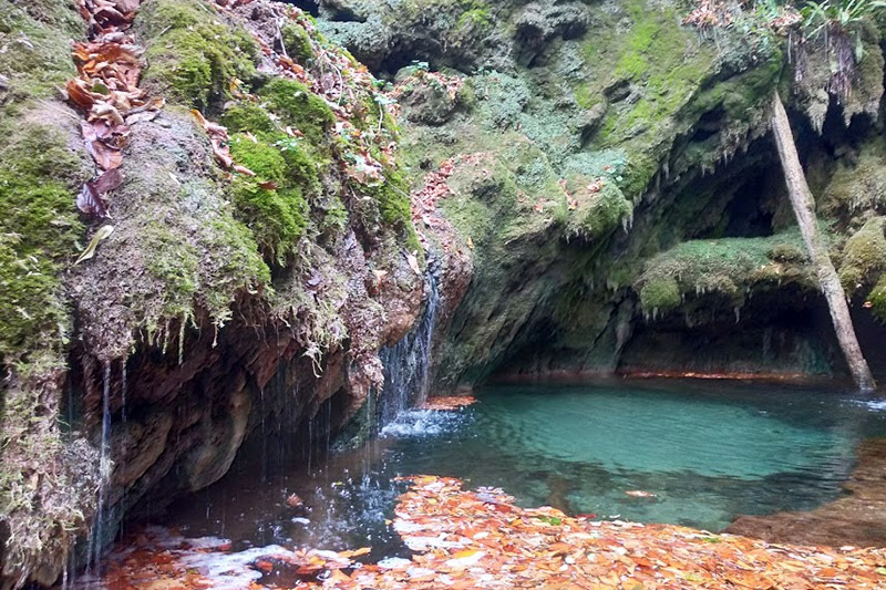 Day 6 - Dilijan National Park & Lake Sevan